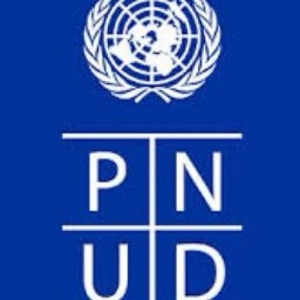 PNUD